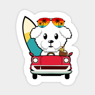 Cute furry dog driving to the beach Magnet