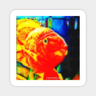 Pop Art Love Fish Magnet