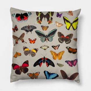 Beautiful Butterflies Pillow