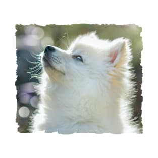 American Eskimo Puppy T-Shirt