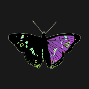 Butterfly 01f, transparent background T-Shirt