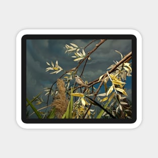 Natural environment diorama - A bird resting on a branch Magnet