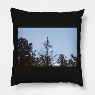 Raven's Way Pillow