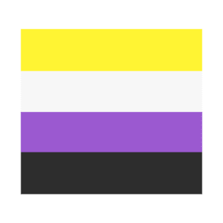 non binary flag T-Shirt