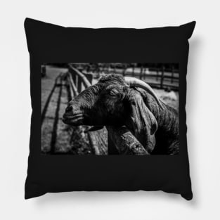 Community Farm Goat Pillow