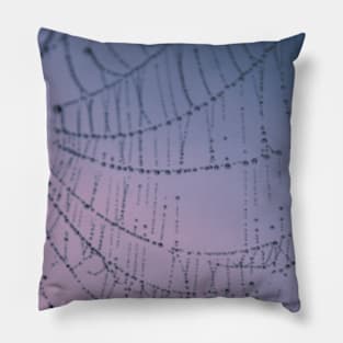 Mother Natures Web 2 Pillow