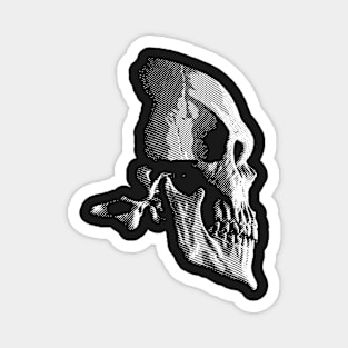 Skull Magnet