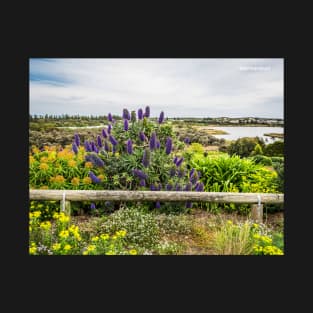 Warrnambool T-Shirt