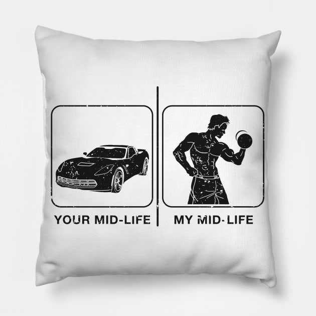 Mid-life Aesthetics - inverted Pillow by CCDesign