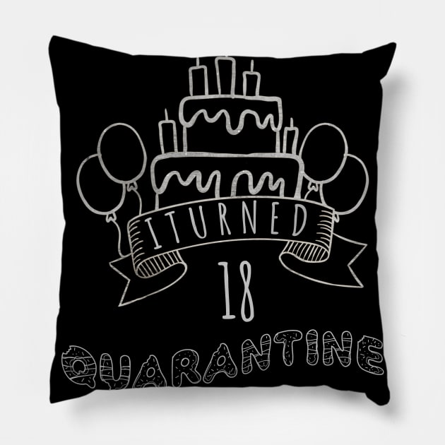 I Turned 18 In Quarantine funny idea birthday Pillow by fatoajmii