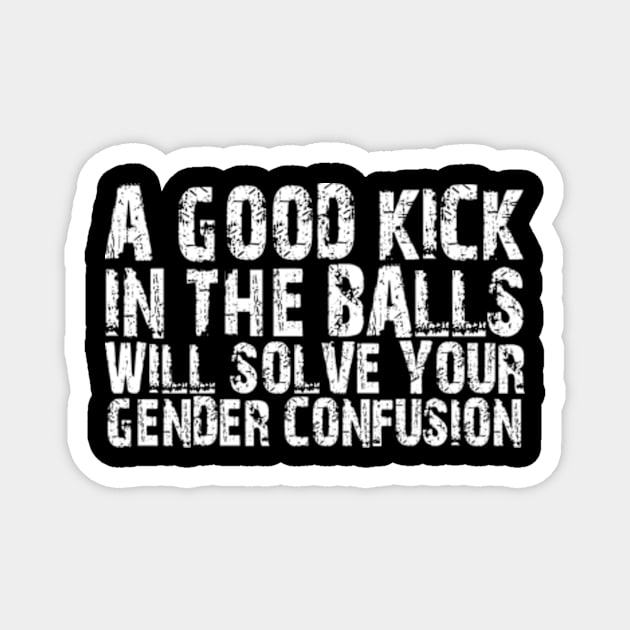 a good kick in the balls will solve your gender confusion Magnet by style flourish