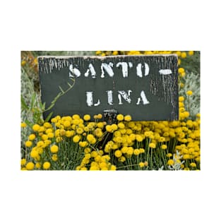 Santo Lina T-Shirt