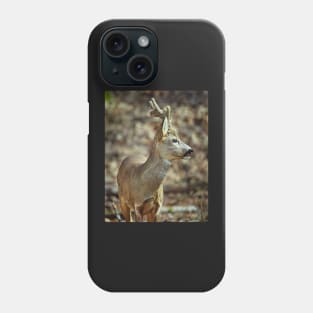 Roe buck in the forest Phone Case