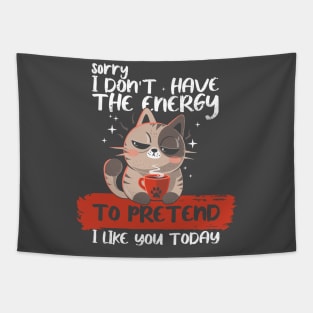 No Energy To Pretend - Funny Cat Tapestry