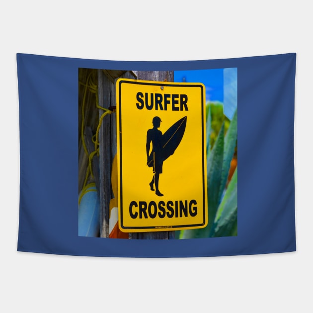 Surfer crossing Tapestry by dltphoto