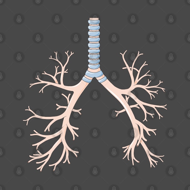 Bronchus Lower respiratory tract by gold package