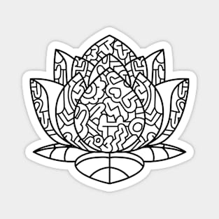 LOTUS Magnet