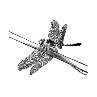 Dragonfly T-Shirt