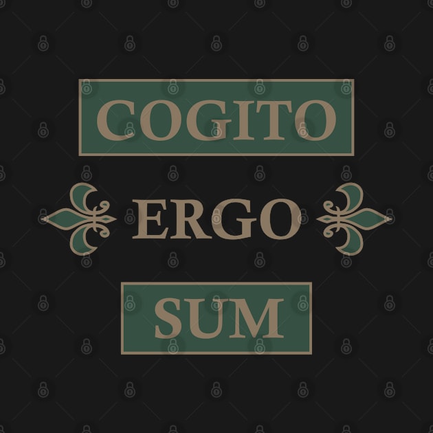 cogito ergo sum by omitay