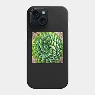 Stocksom Patrick Green Phone Case