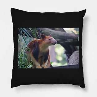 Goodfellow's Tree Kangaroo Pillow