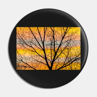 Caged Sunrise Pin