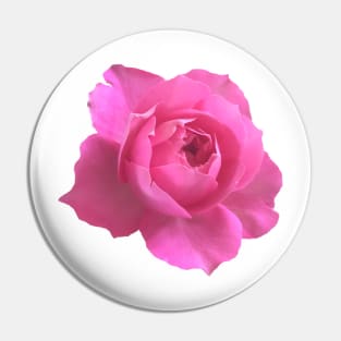 Pink rose Pin