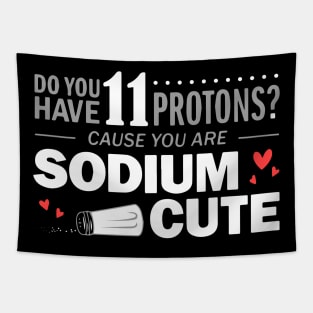 Cool Sciene chemistry humor gift T-Shirt Tapestry