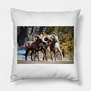Bighorn Sheep Pillow