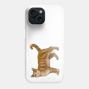 Cat - American Wirehair - Marmalade Phone Case