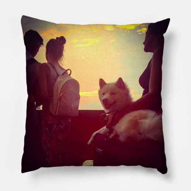 Staten Island Ferry Dog Sunset New York City Pillow by eleonoraingrid