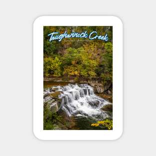 Taughannock Creek Tompkins County New York Magnet