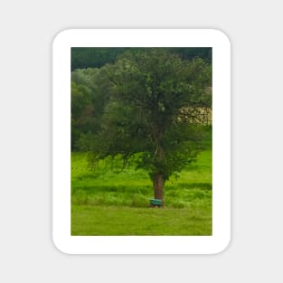 Wheelbarrow and Tree Magnet