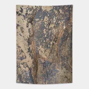 Beach side intimate rock texture Tapestry