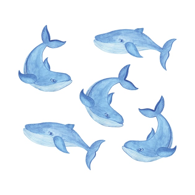 Blue Whales by edwardecho