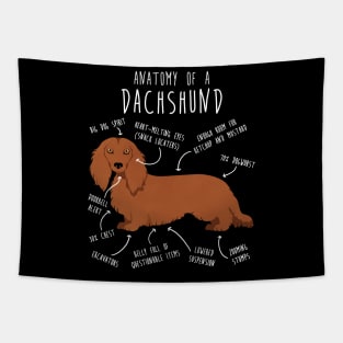 Red Longhaired Dachshund Dog Anatomy Tapestry