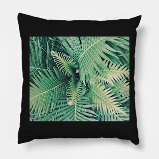 Fern Pillow