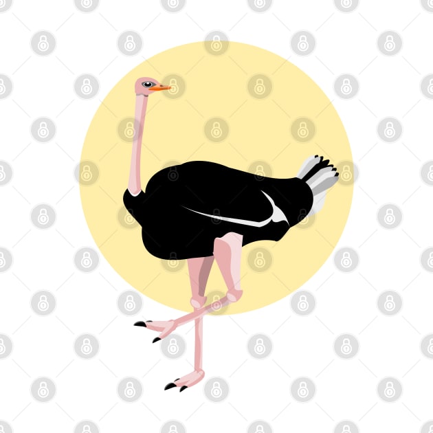 Ostrich by mailboxdisco