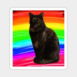 Rainbow Cat Magnet