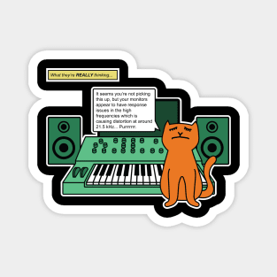 Cat on Music Studio Desk with Analogue Synthesizer Magnet