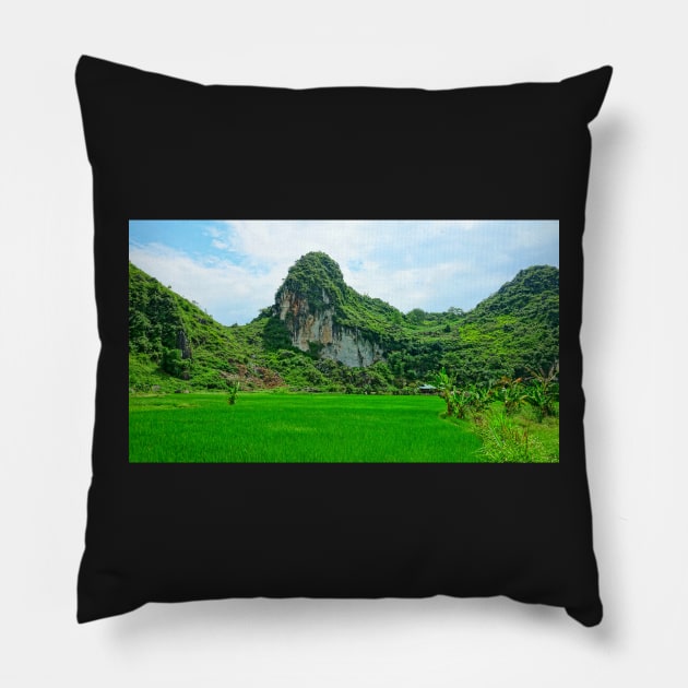 Vietnam - Route de Ha Giang à Dong Van. Plateau karstique Pillow by franck380