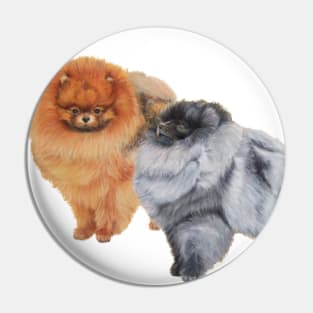 Pomeranians - P Pin