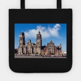 Cathedral, Mexico City. Tote