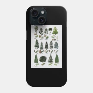 coniferous botanical poster Phone Case