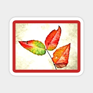 Leaves Colors Magnet