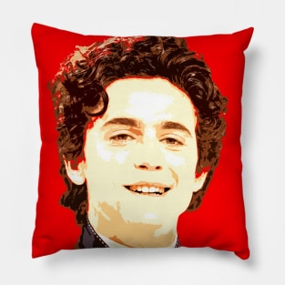 timothee chalamet Pillow