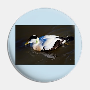 Eider Duck Pin