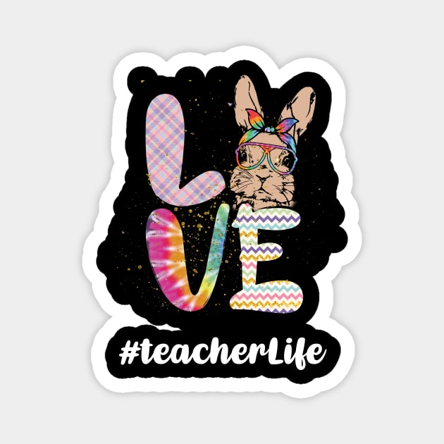 teacher easter day Magnet by sanavoc