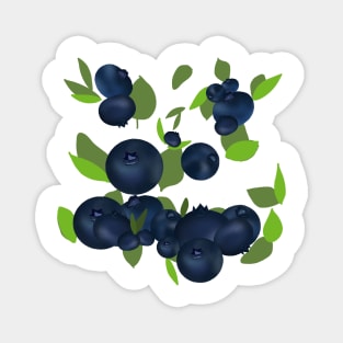 Blueberries Magnet