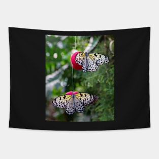 Two butterflies on red balls Tapestry